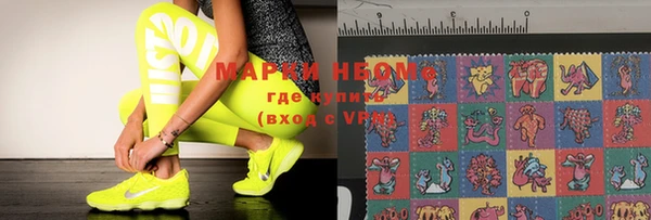 молекула духа Арсеньев