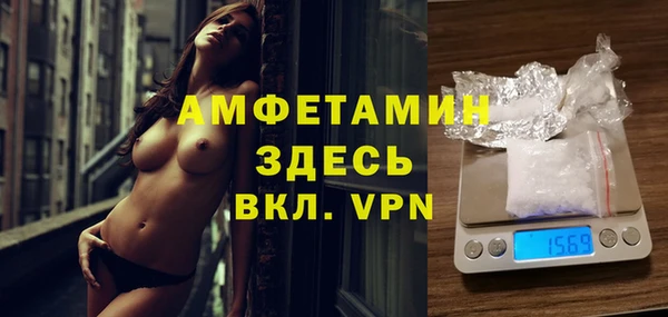 молекула духа Арсеньев