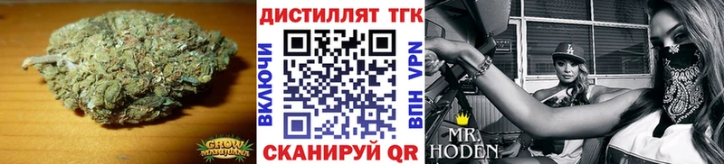 ТГК Wax  Ртищево 