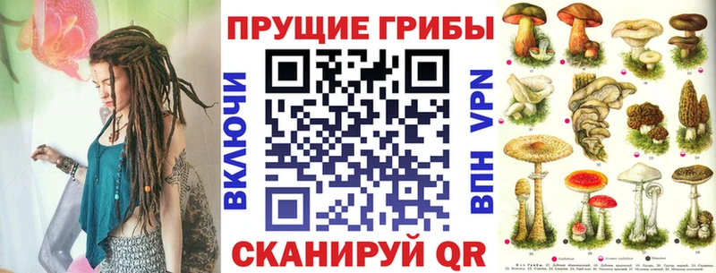 Галлюциногенные грибы Cubensis  Ртищево 